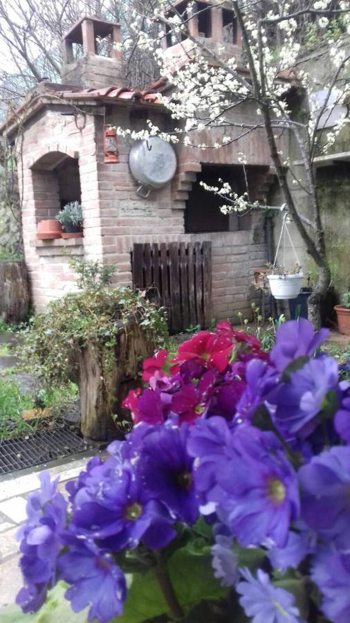 Casa Patti Alle Porte Di Siena Buitenkant foto