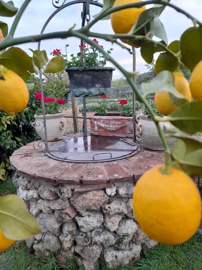 Casa Patti Alle Porte Di Siena Buitenkant foto