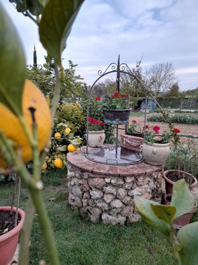 Casa Patti Alle Porte Di Siena Buitenkant foto